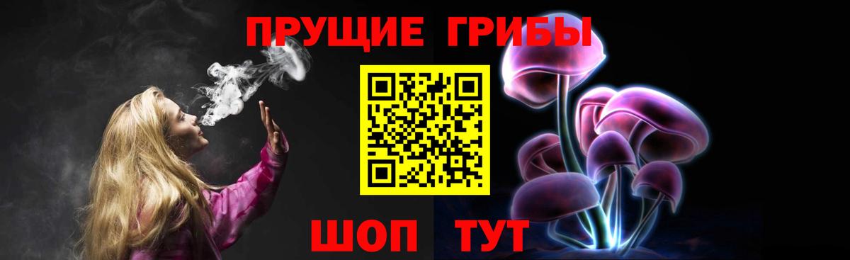 Псилоцибиновые грибы Magic Shrooms  закладка  Вход с VPN  Канск  Галлюциногенные грибы GOLDEN TEACHER 